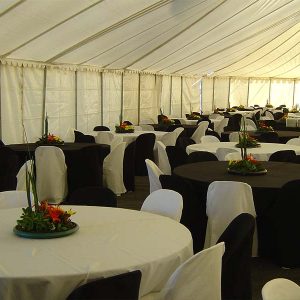 Double King Pole Tent-Interior
